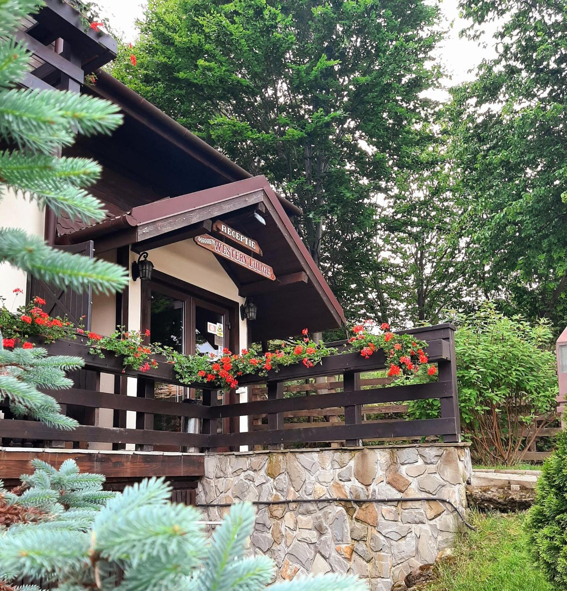 Maggie'S Ranch 호텔 Rîşnov 외부 사진