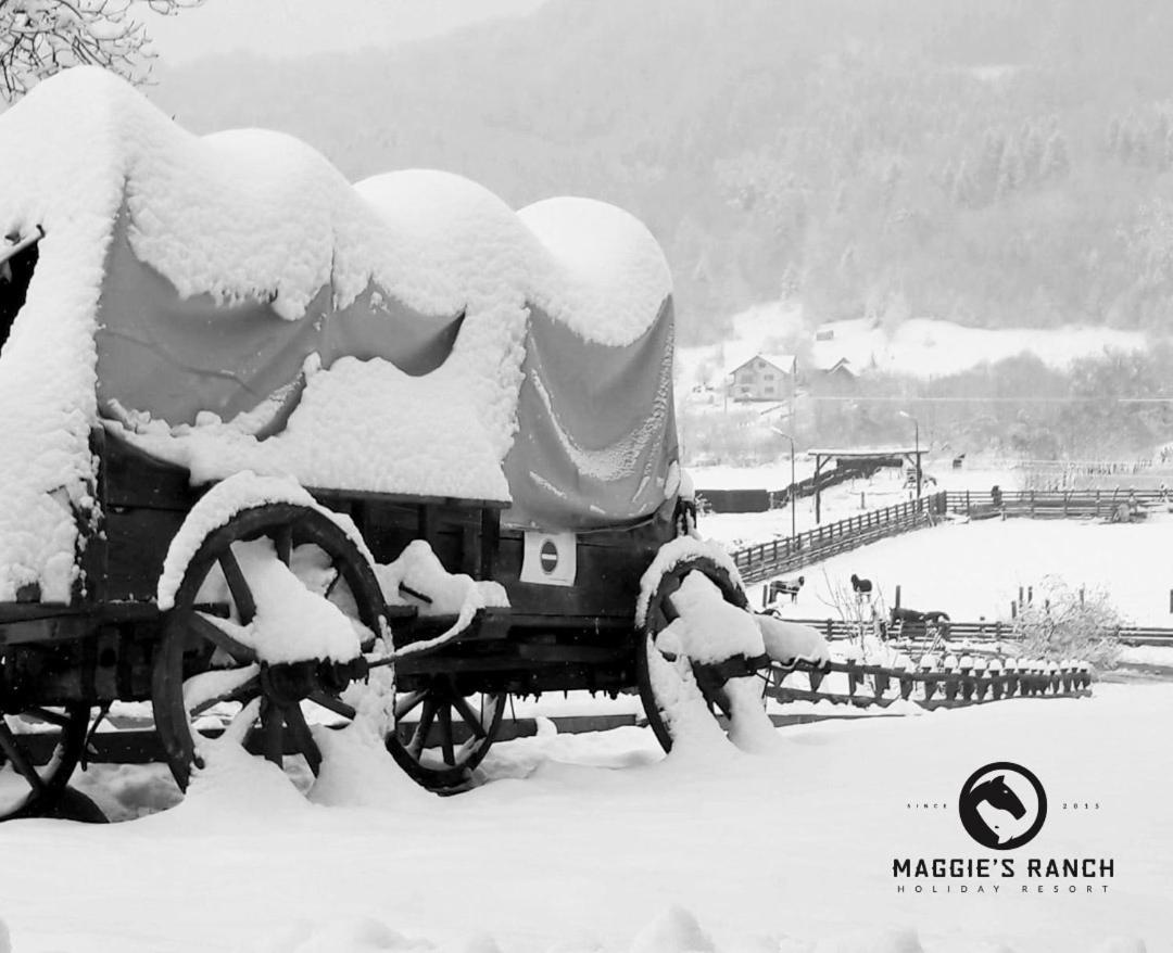 Maggie'S Ranch 호텔 Rîşnov 외부 사진